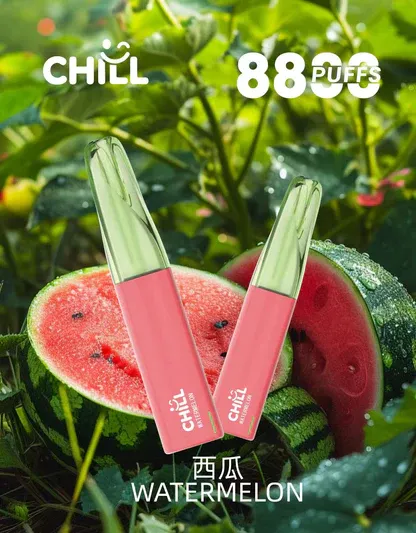 001-01.webp CHILL 鴨嘴獸 8800口拋棄式電子煙|12W輸出與 550mAh電池續航,含 3%尼古丁鹽並提供多款熱銷口味