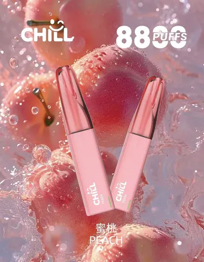 001-09.webp CHILL 鴨嘴獸 8800口拋棄式電子煙|12W輸出與 550mAh電池續航,含 3%尼古丁鹽並提供多款熱銷口味