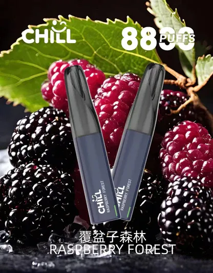 001-13.webp CHILL 鴨嘴獸 8800口拋棄式電子煙|12W輸出與 550mAh電池續航,含 3%尼古丁鹽並提供多款熱銷口味