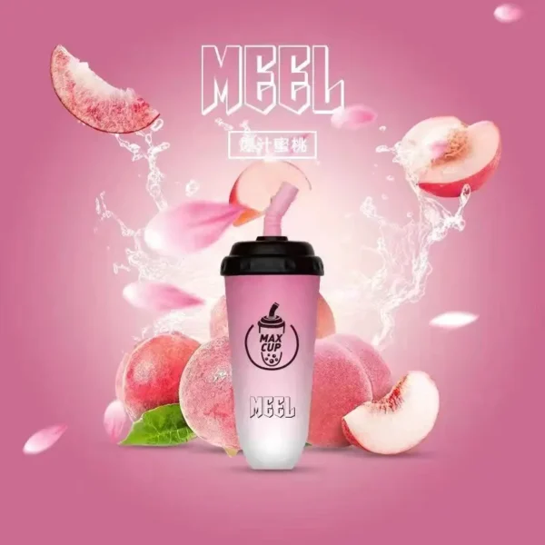 1-2309111J25bZ.webp MEEL 奶茶杯 6000口 拋棄式電子煙|具備 3% 尼古丁鹽順滑不鎖喉與 15ml 巨無霸油量,支援智慧 Type-C 快充實現長效續航不斷電