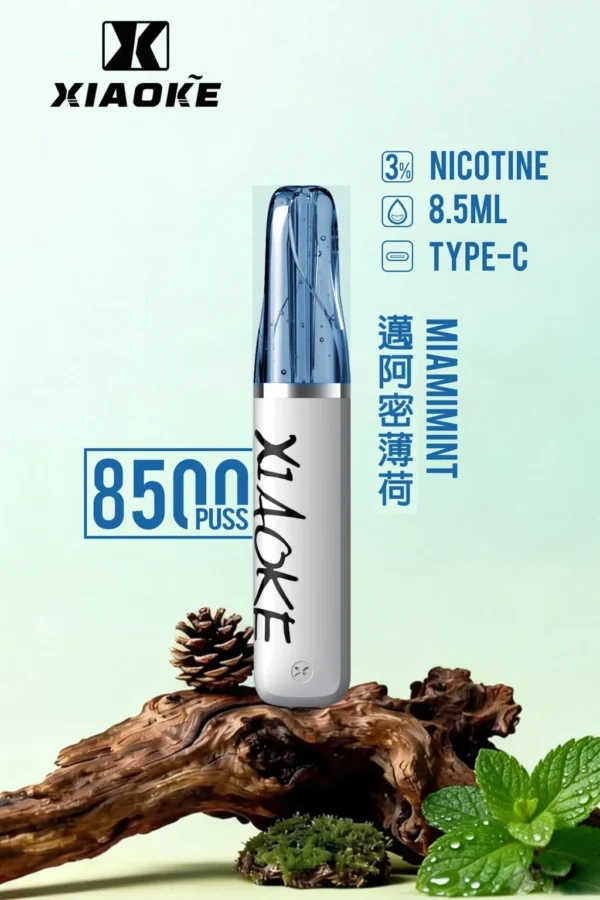 27763104a941bdf31156bc0c11499293-1024x1536.jpg.webp XIAOKE 梟客 8500口拋棄式電子煙|含 8.5ml儲油量與 3%尼古丁鹽,支援 Type-C充電