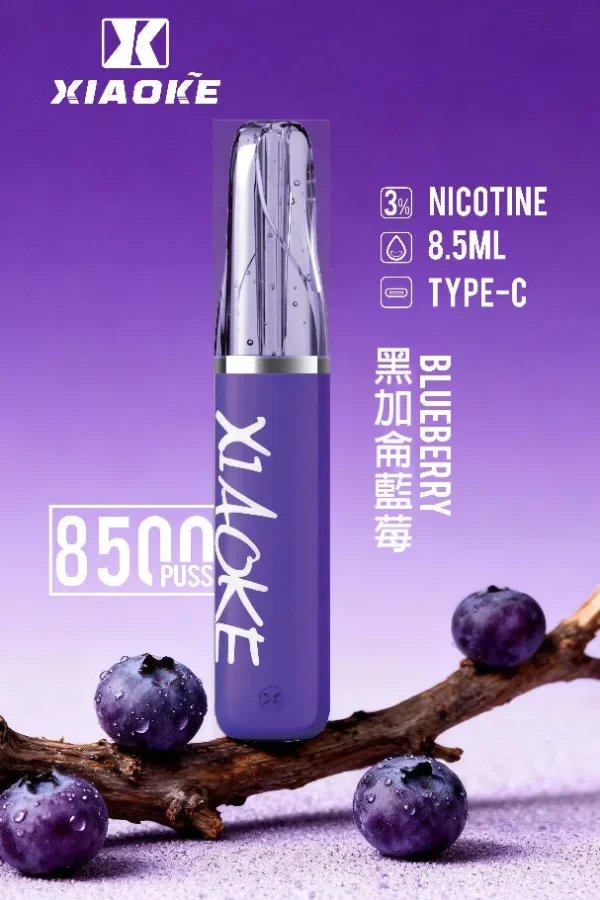 8b2c17ea1d548700b8e9ec2a9e768390.jpg.webp XIAOKE 梟客 8500口拋棄式電子煙|含 8.5ml儲油量與 3%尼古丁鹽,支援 Type-C充電
