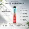 ChatGPT-Image-2026年8月25日-下午10_00_54.webp VAPOR STORM 風暴 5000口 拋棄式電子煙|具備 10ml 大容量與 Mesh 芯強勁霧化技術,採用金屬質感機身設計,搭配 650mAh 可充電長效續航
