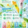 I.G夏威夷鼻通產品規格-鼻吸薄荷棒-6-scaled-1.webp I.G 夏威夷 1000口鼻通棒|精巧外型,隨身方便收納