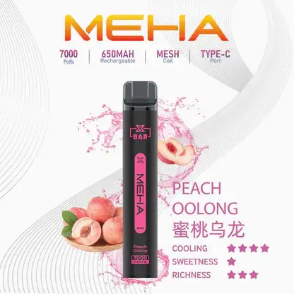 MEHA XBAR 魅嗨 小黑條 7000口 拋棄式電子煙｜具備 3% 尼古丁鹽黃金配方與極強冰感體驗，採用 Mesh 芯爆發力強，搭配 650mAh 大電量可充電長效續航