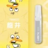 Mist X 鴨嘴獸 6500口 拋棄式電子煙｜具備冰爽水果口味清涼口感與 2% 尼古丁鹽配置，搭載 550mAh 大電量可充電續航，結合獨家萌系外觀設計