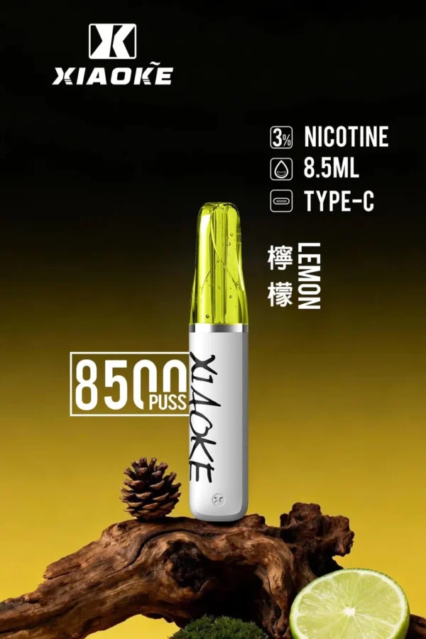 d185d7e28615e84aca893d861a0e04f4-1024x1536.jpg.webp XIAOKE 梟客 8500口拋棄式電子煙|含 8.5ml儲油量與 3%尼古丁鹽,支援 Type-C充電