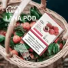 LANA 一代通用煙彈（3顆裝）｜具備吸氣即亮炫彩特效與升級陶瓷芯純淨口感，採用 2.5ml 大容量設計，通用一代主機